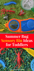 Summer Bug Sensory Bin
