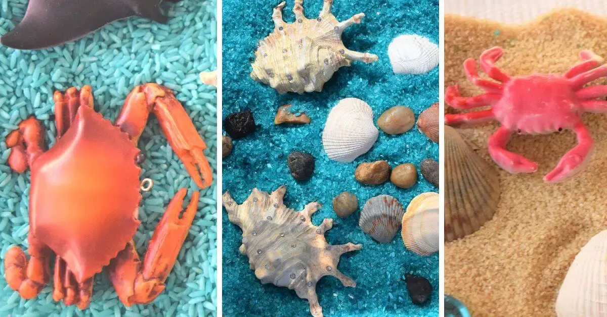 ocean sensory bins