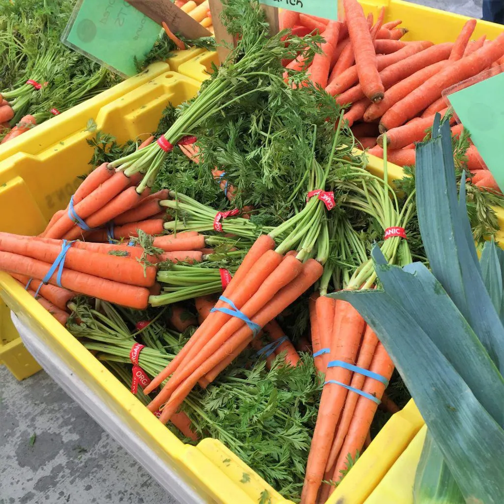 Carrots Super Foods Pregnancy