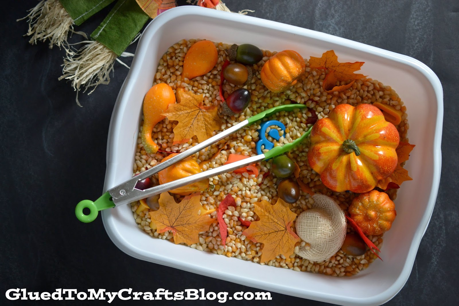 fall sensory bins for toddlers