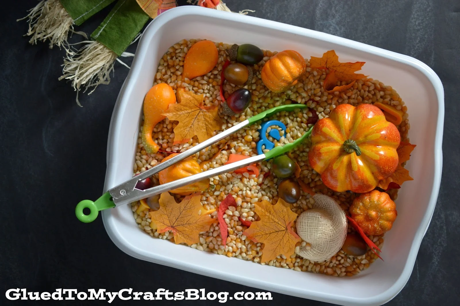 fall sensory bins for toddlers