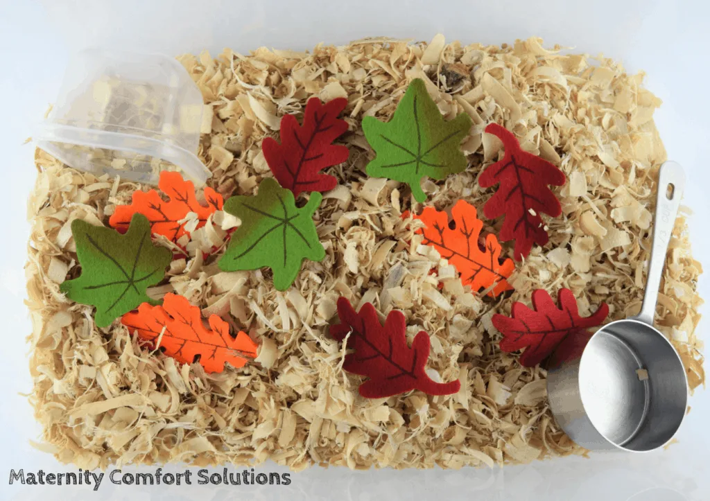 20 Fall Sensory Bin Ideas For Toddlers