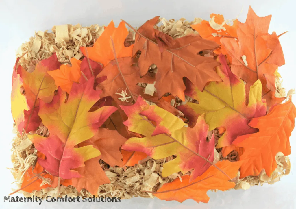 20 Fall Sensory Bin Ideas For Toddlers