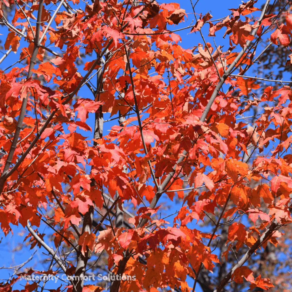 fall activities for toddlers