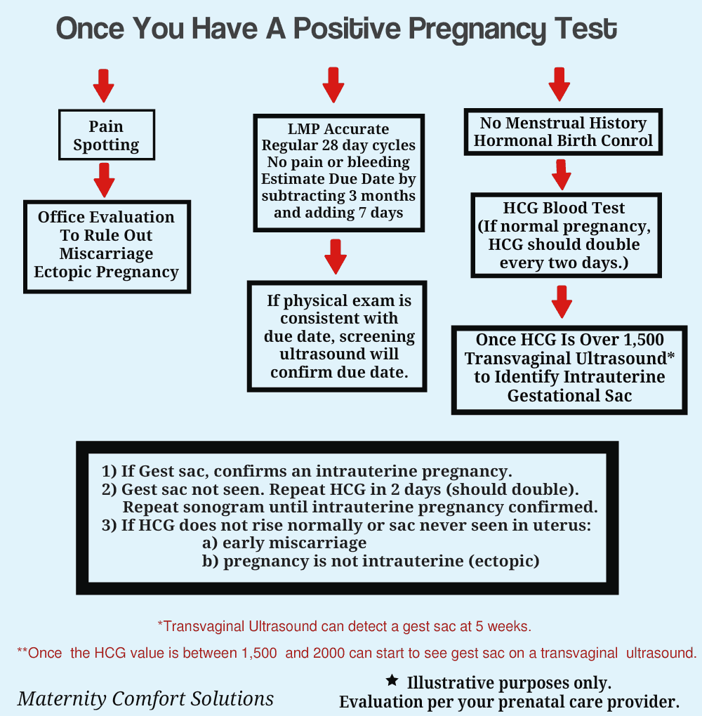 calculating your due date