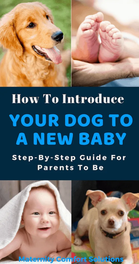 How To Introduce Your Dog To A New Baby