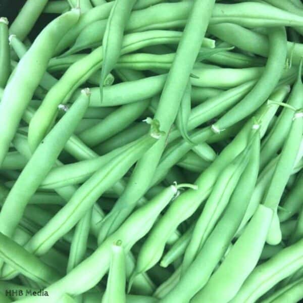  green beans