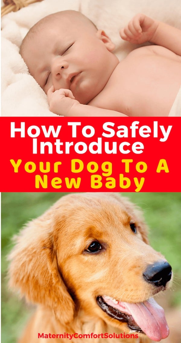 How To Introduce Your Dog To A New Baby