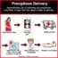 complications of precipitate labor complications of precipitate labor
