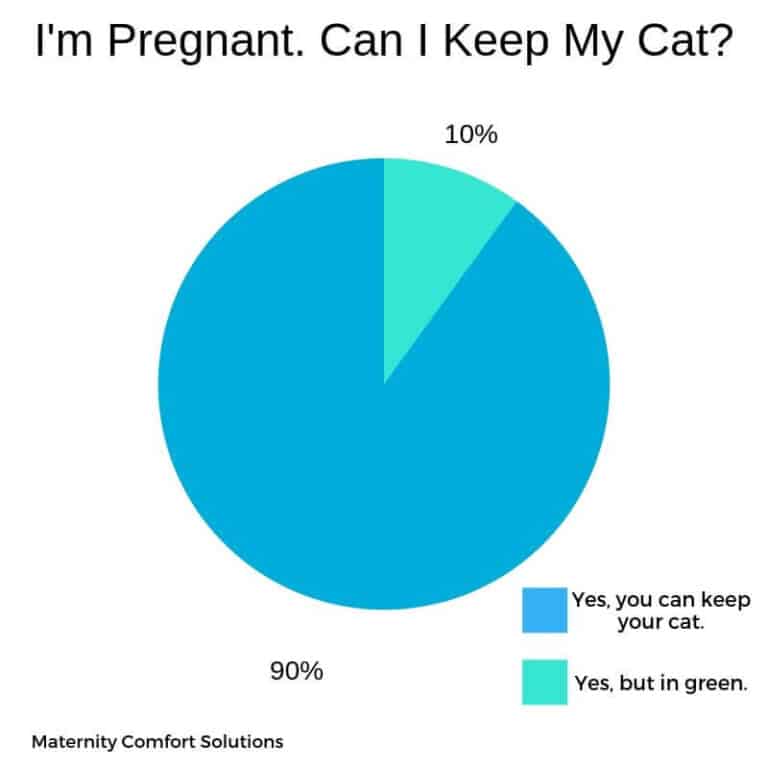 Can Pregnant Women Be Around Cats? [With 11 Safety Tips]