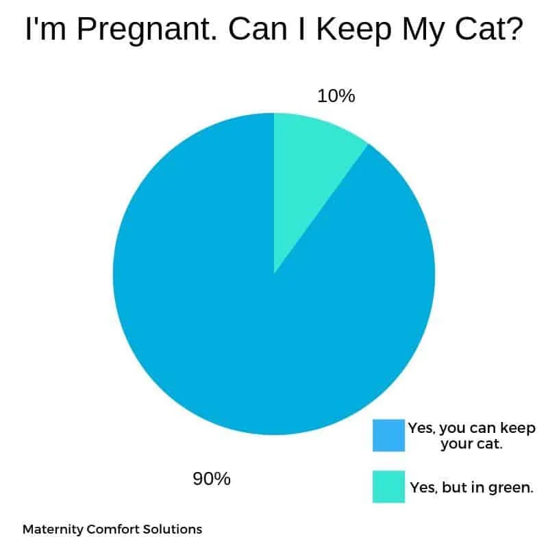 Campregnantwomenbearoundcats1