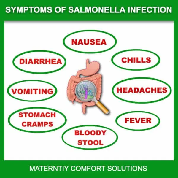 foodborne illness pregnancy