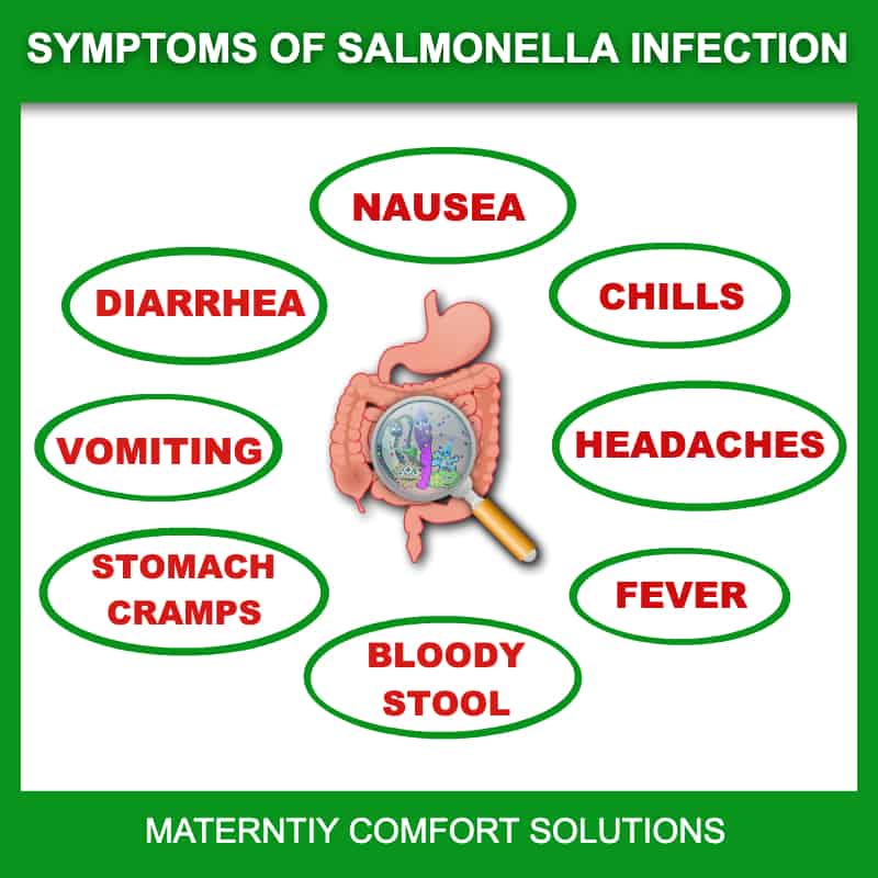 SALMONELLA1