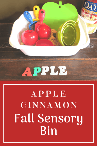 Apple Cinnamon Oatmeal Sensory Bin