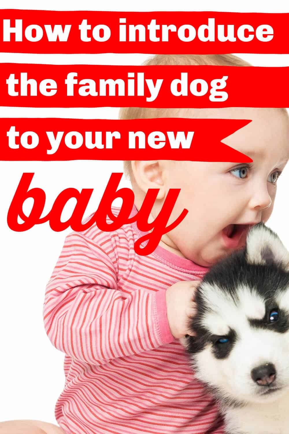 How To Introduce Your Dog To A New Baby