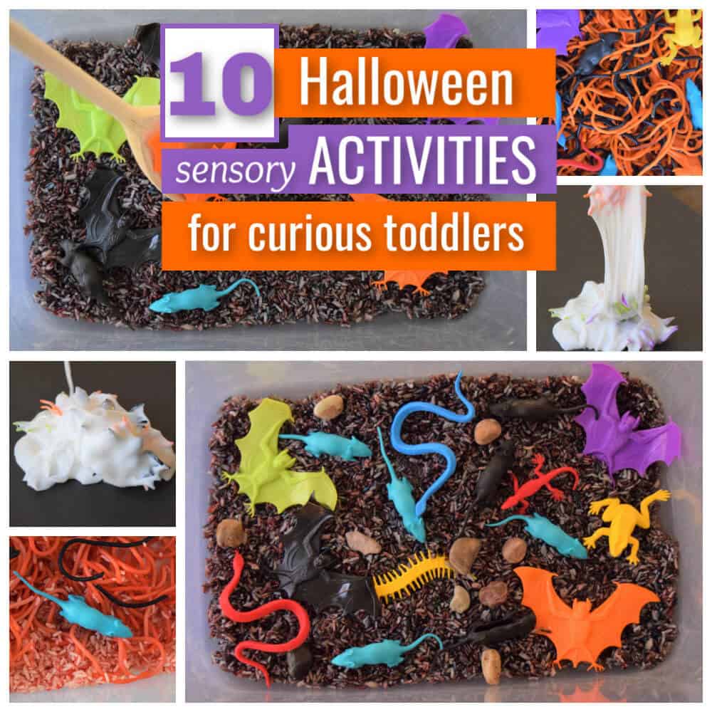 Halloween Sensory Activities
 10 Easy DIY Halloween Sensory Activities For Toddlers