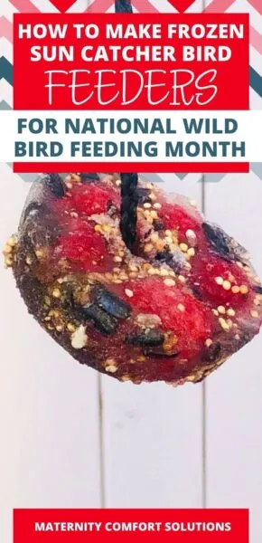 frozen birdfeeder- berries and birdseed