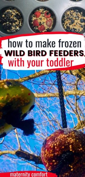 frozen birdfeeder- berries and birdseed