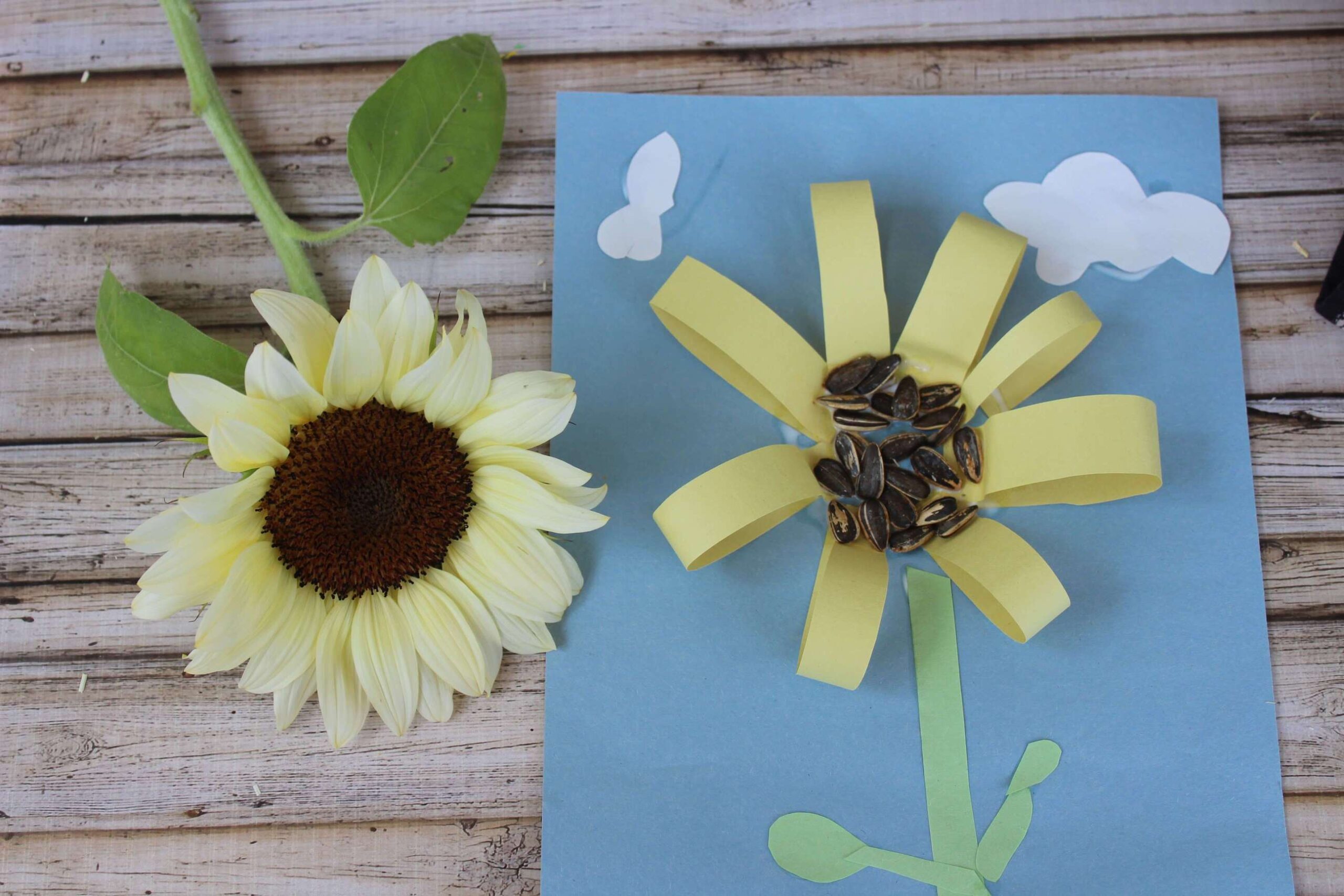 Beautiful Fall Sunflower Art For Toddlers [2021]