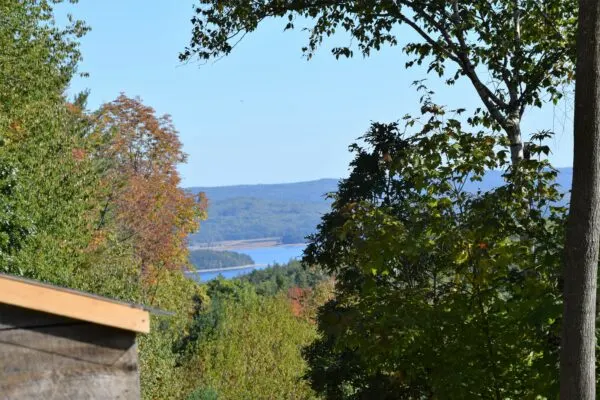 fall apple orchard new england