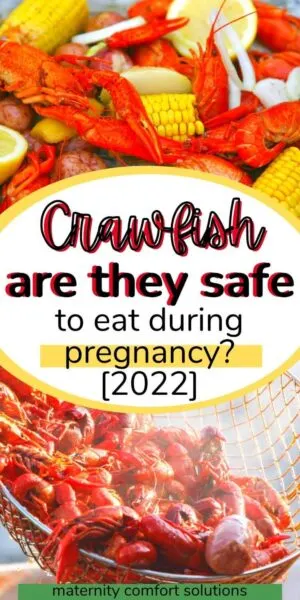 Can pregnant women eat crawfish?