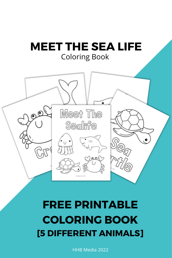 Meet The Sea Life coloring Book