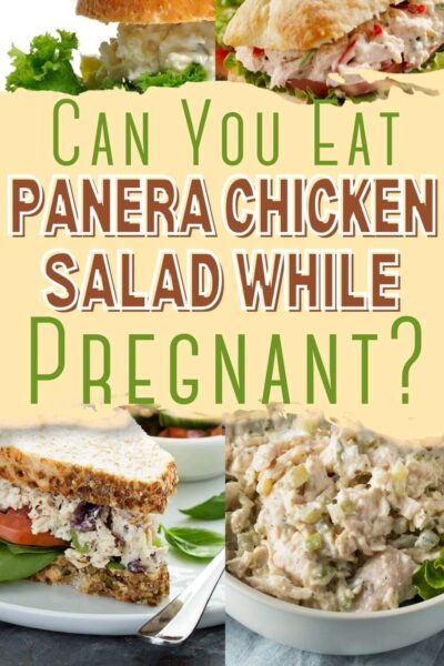 Can I Eat Panera Chicken Salad While Pregnant