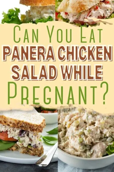 Can I Eat Panera Chicken Salad While Pregnant
