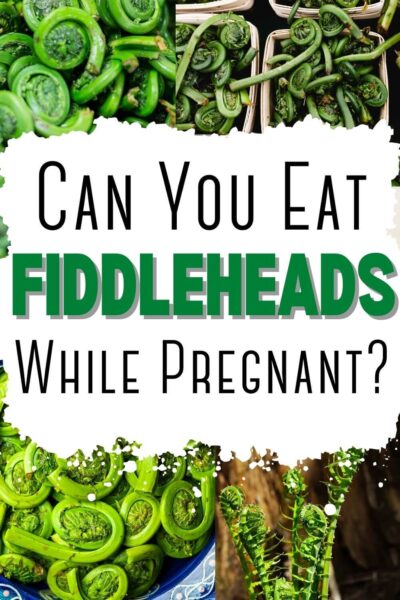 can you eat fiddleheads while pregnant?