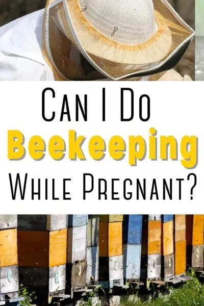 can i do beekeeping while pregnant