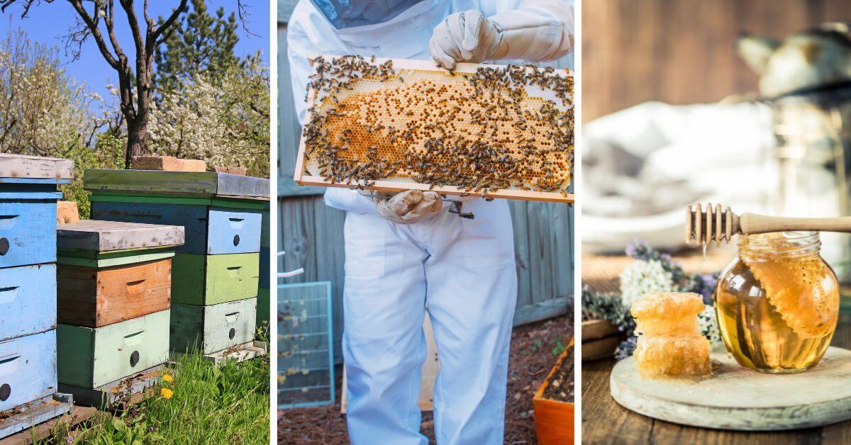 can i do beekeeping while pregnant?
