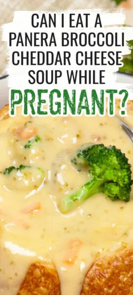 can i eat panera broccoli cheddar cheese soup while pregnant