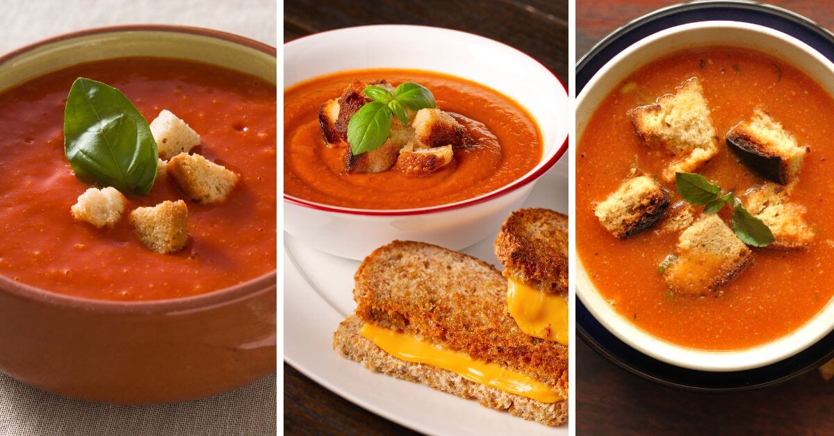 Can I eat Panera Tomato Soup while pregnant?