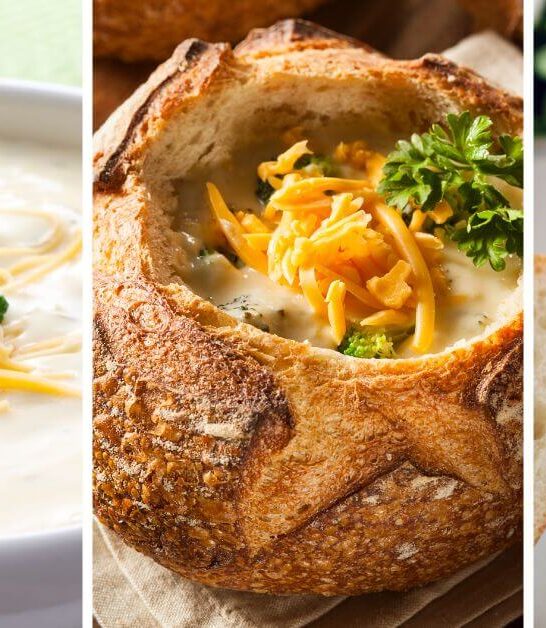 can i eat Panera broccoli cheddar cheese soup while pregnant?