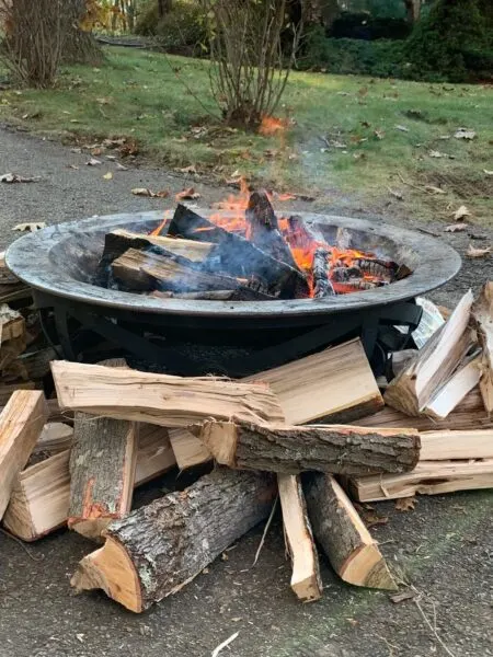 dad and toddler activities outdoor fire and roasting marshmallows