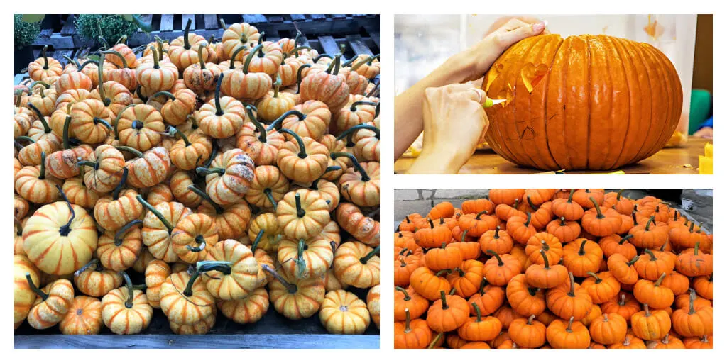 pumpkins and pumpkin carving
