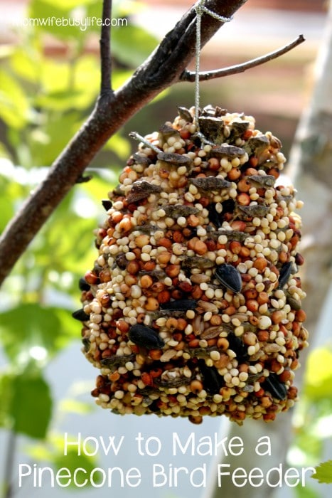 Summer Nature Crafts for Kids